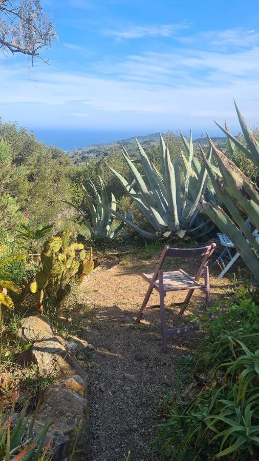 Casa Merea 16 Costa d'Oneglia 外观 照片