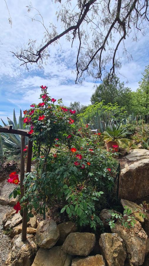 Casa Merea 16 Costa d'Oneglia 外观 照片