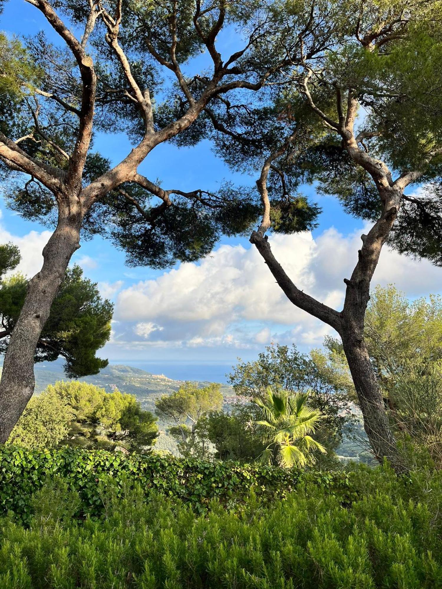 Casa Merea 16 Costa d'Oneglia 外观 照片